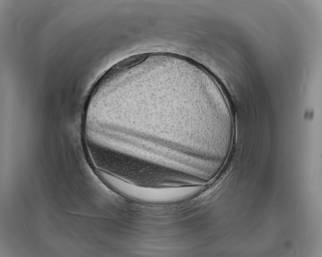 X0000094061500200711091116