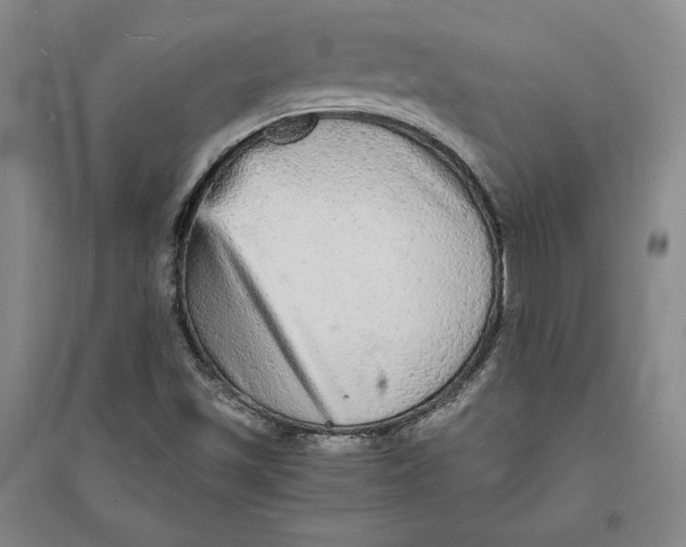 X0000094061501200711091116