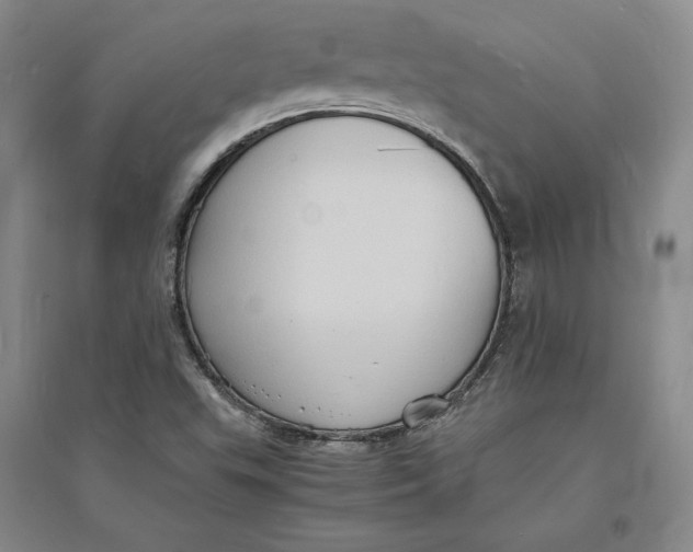 X0000094061503200711091116