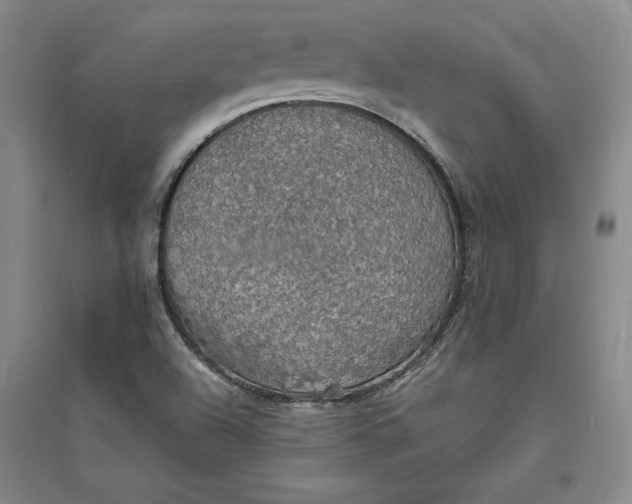 X0000094061504200711091116