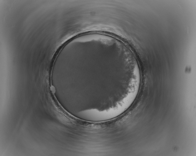X0000094061505200711091116