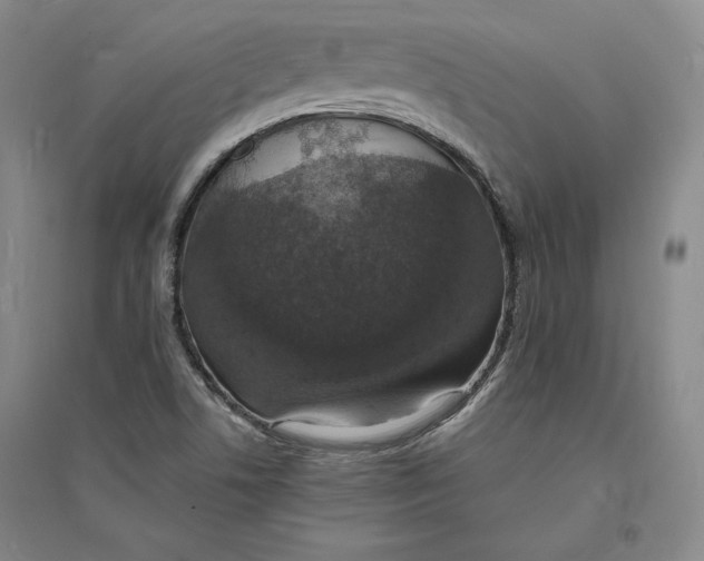 X0000094061506200711091116