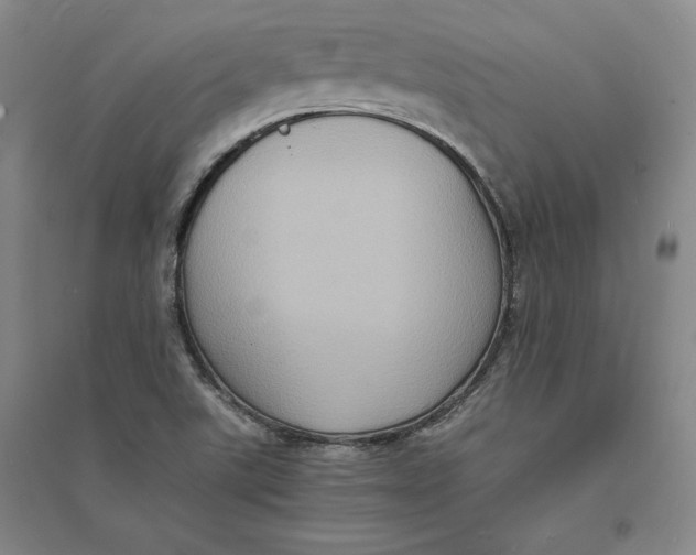 X0000094061507200711091116