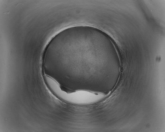 X0000094061508200711091116