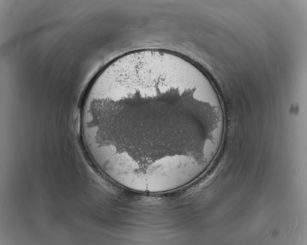 X0000094061509200711091116