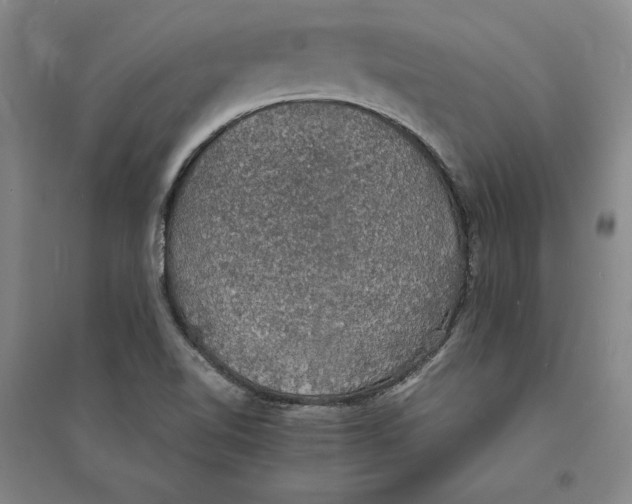 X0000094061510200711091116