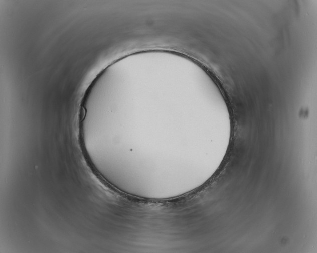 X0000094061512200711091116