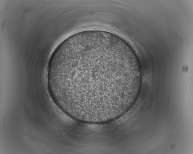 X0000094061514200711091116