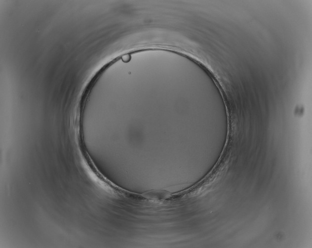 X0000094061515200711091116
