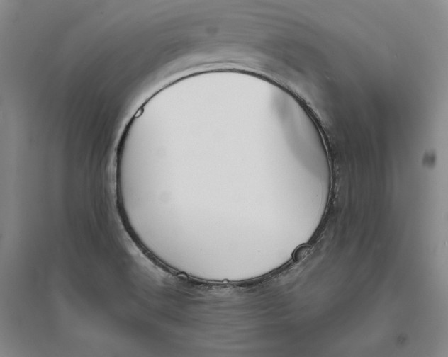 X0000094061516200711091117