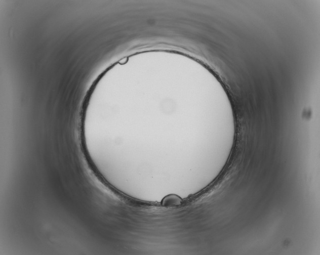 X0000094061518200711091117