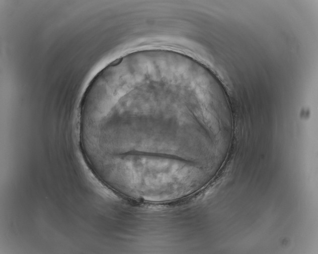 X0000094061522200711091117