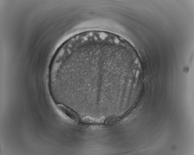 X0000094061523200711091117