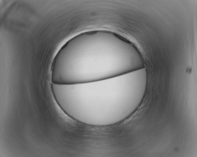 X0000094061524200711091117