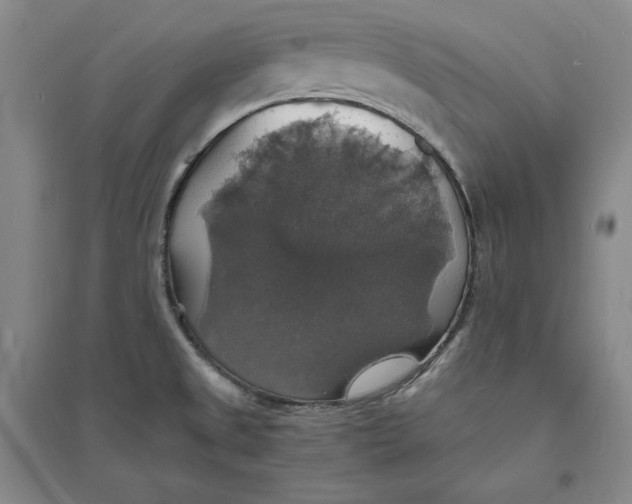 X0000094061525200711091117