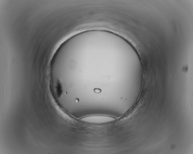X0000094061526200711091117