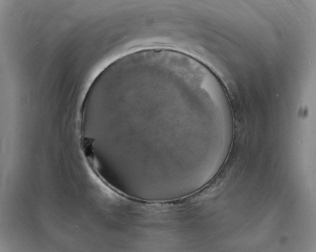 X0000094061527200711091117