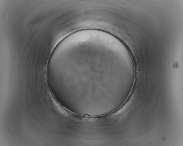X0000094061529200711091117