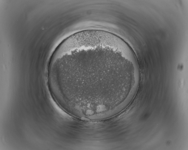 X0000094061531200711091117