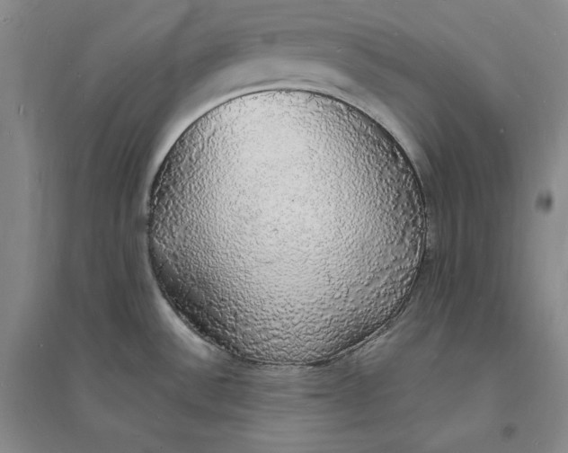 X0000094061532200711091117