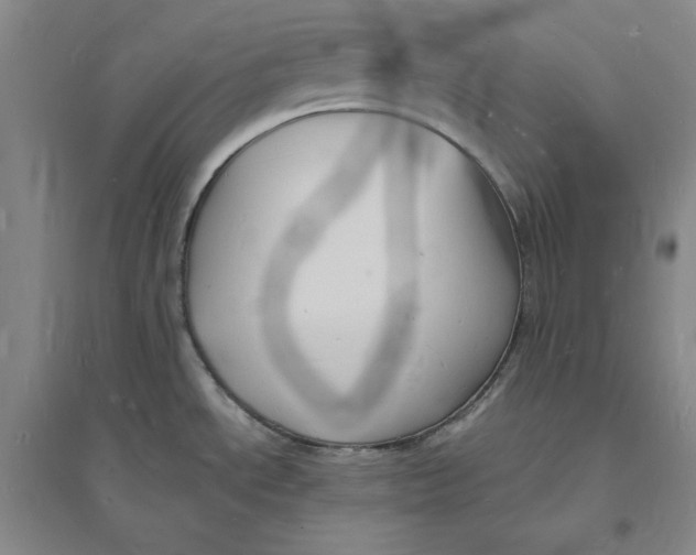X0000094061534200711091117