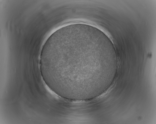 X0000094061535200711091117