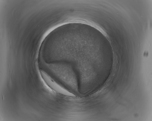 X0000094061536200711091117
