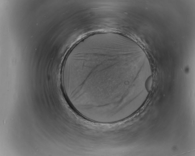 X0000094060002200711161535