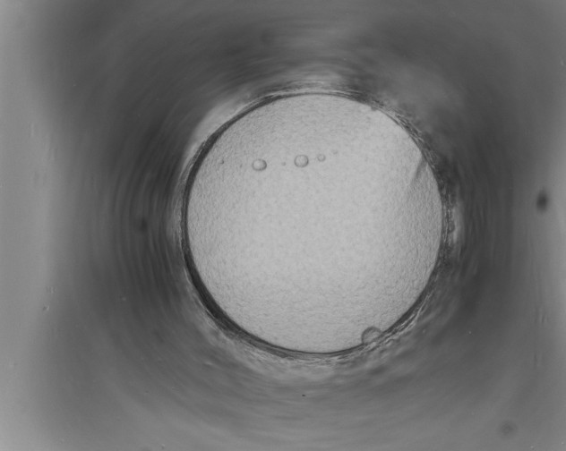 X0000094060004200711161535