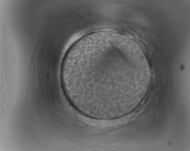 X0000094060006200711161535