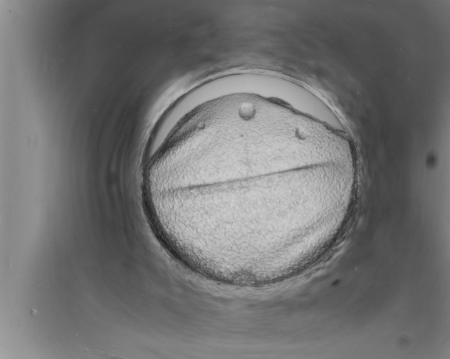 X0000094060007200711161535