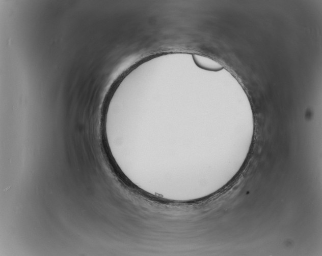 X0000094060008200711161535