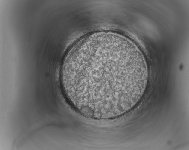 X0000094060010200711161535