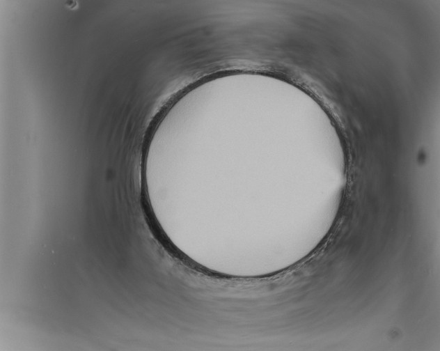 X0000094060011200711161535