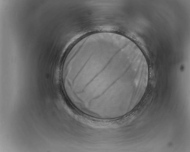 X0000094060012200711161535