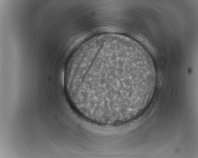 X0000094060014200711161535