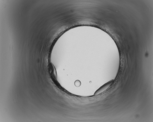 X0000094060015200711161535