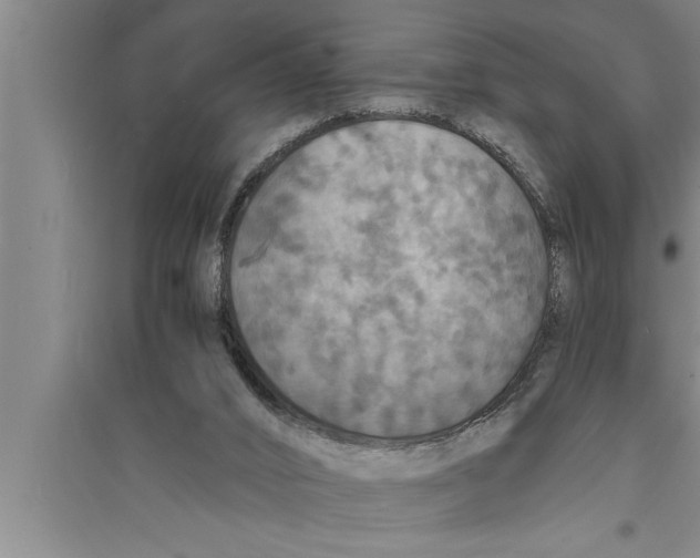 X0000094060016200711161535