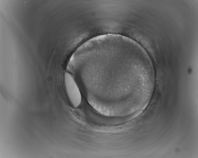 X0000094060017200711161535