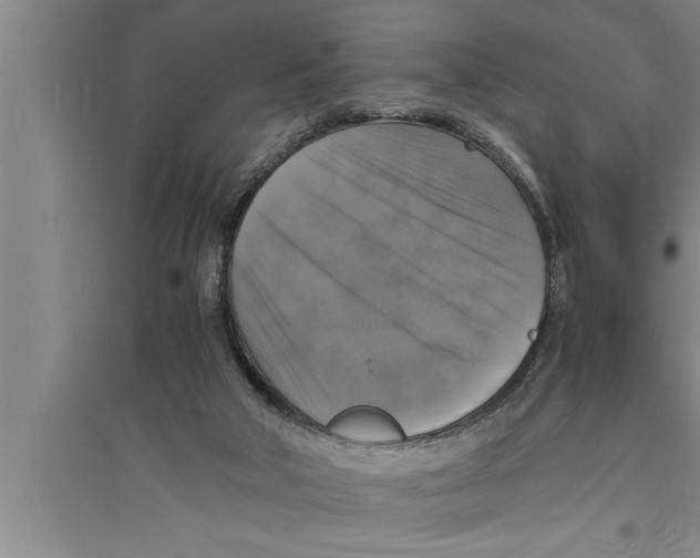 X0000094060018200711161535