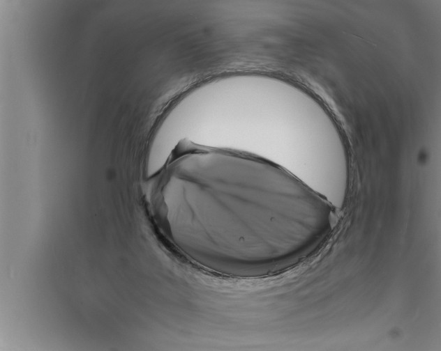 X0000094060019200711161535