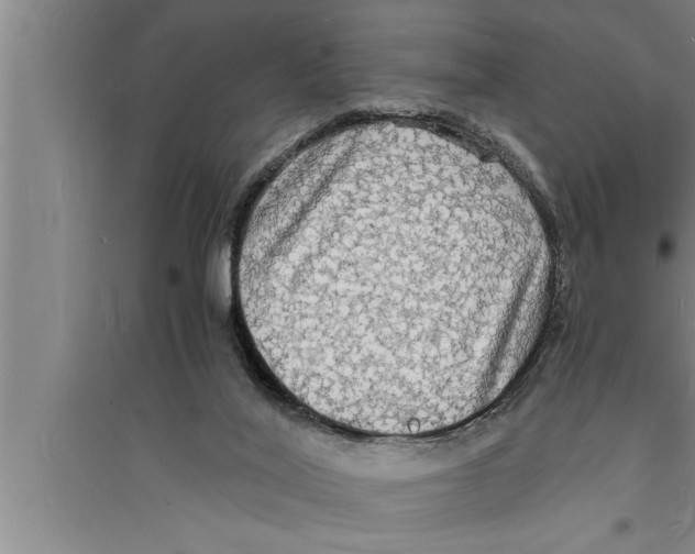 X0000094060020200711161535