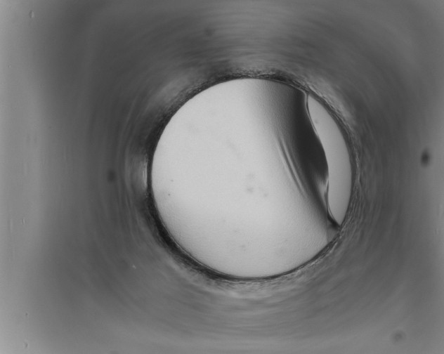 X0000094060021200711161535