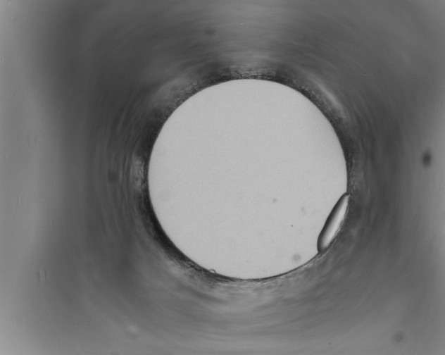 X0000094060025200711161535