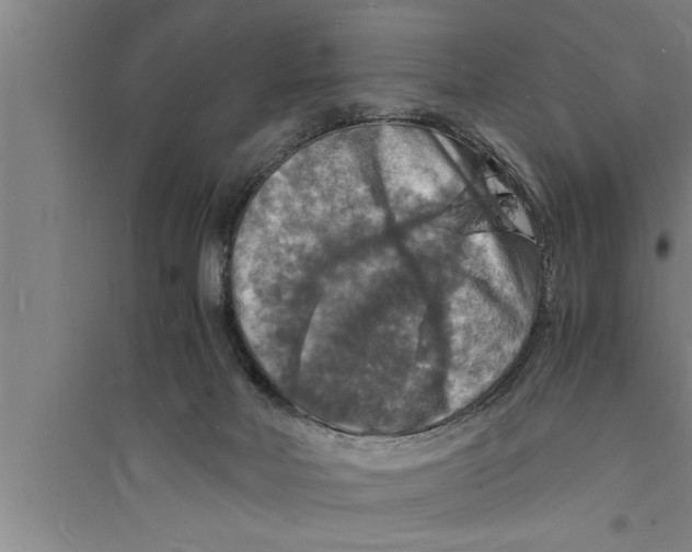 X0000094060026200711161535