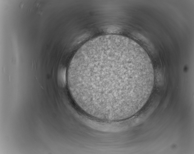 X0000094060028200711161535