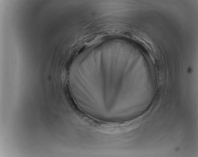 X0000094060029200711161535