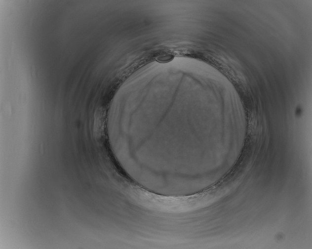 X0000094060030200711161535