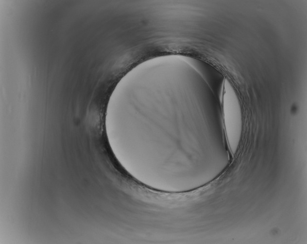 X0000094060031200711161535