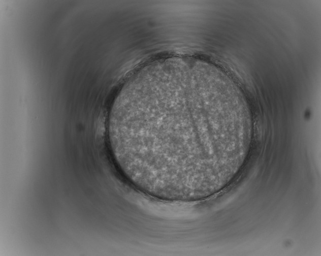 X0000094060032200711161535